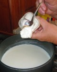 Starter is added to the cooled milk.