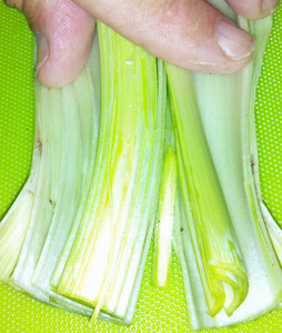 When leeks are grown dirt is piled up around them to maximize the white portion. Dirt is often trapped between the leaves as a result.